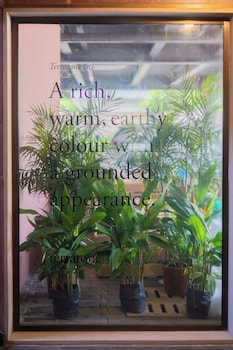 terratone boutique business hotel