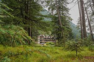 north deodar resort kasol