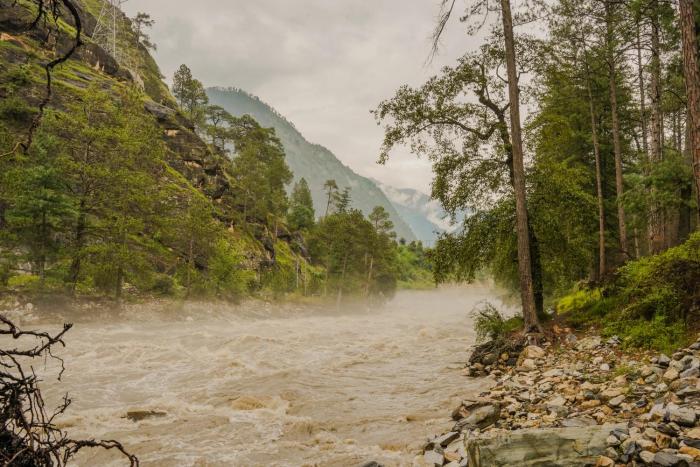 north deodar resort kasol