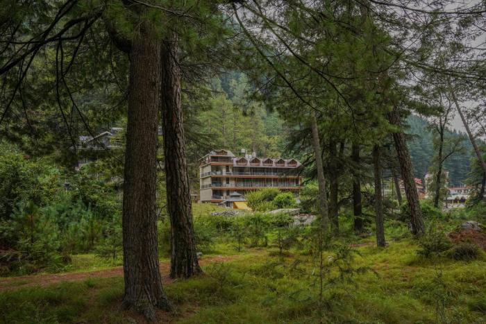 north deodar resort kasol
