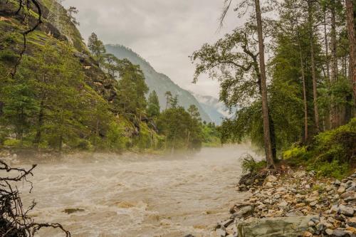 north deodar resort kasol