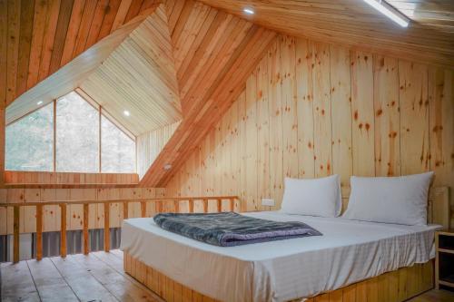 north deodar resort kasol