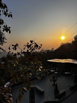 moshams a home with nature and elegance