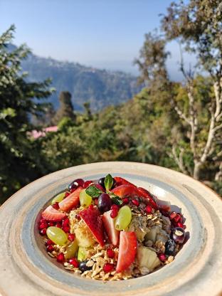 moshams a home with nature and elegance