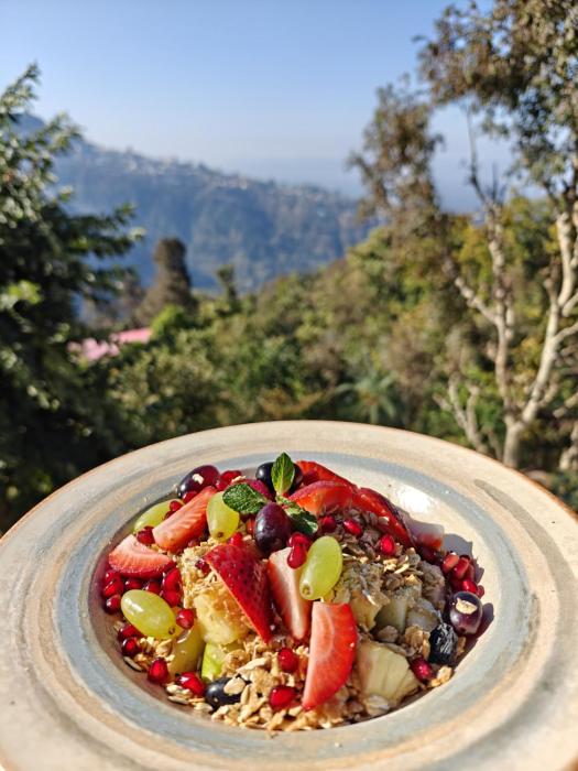 moshams a home with nature and elegance