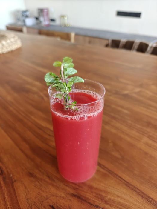 moshams a home with nature and elegance