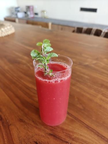 moshams a home with nature and elegance