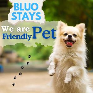 bluo modern 2bhk rohini parking balcony