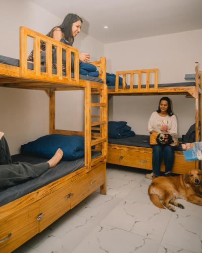 urban loft hostel