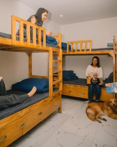 urban loft hostel