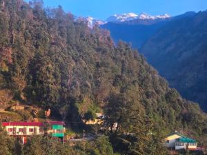 shiv shankar hotel and resort