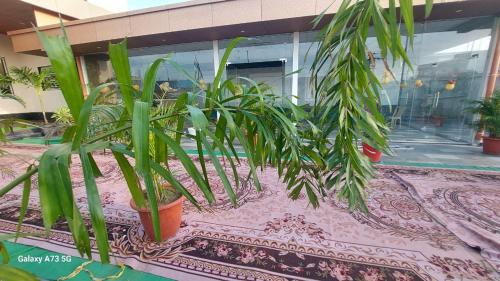 rk celebration by kurmas group