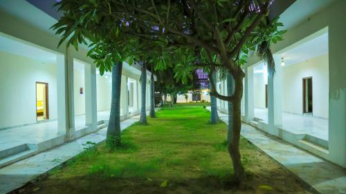 the lala hotel and resort