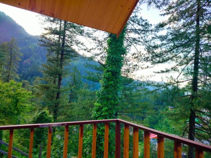 majestic view cottages