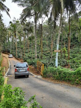 twisted tree cottages coorg