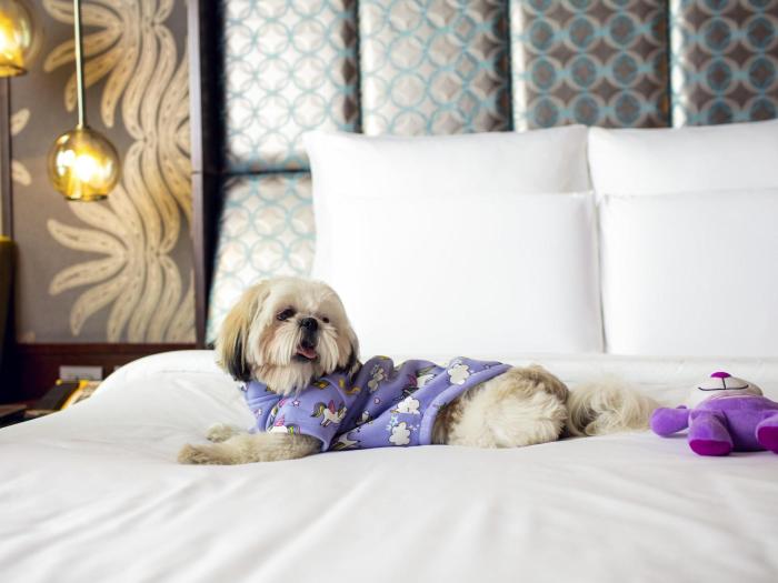 pullman new delhi aerocity hotel