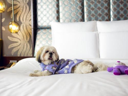 pullman new delhi aerocity hotel