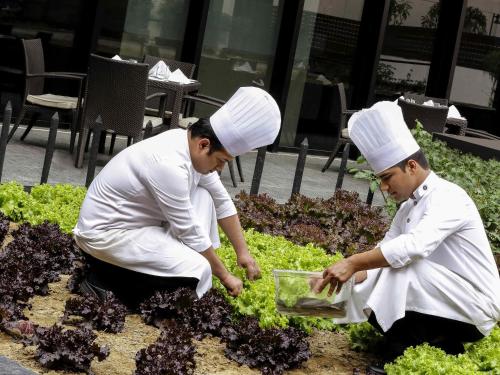 pullman new delhi aerocity hotel