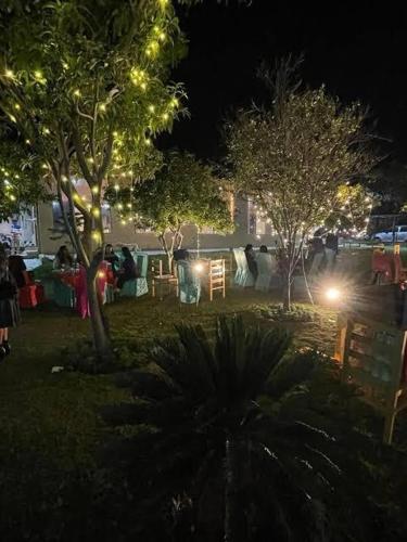 okho resort kalka panchkula