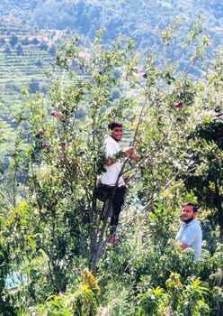 omvilla with mountain view