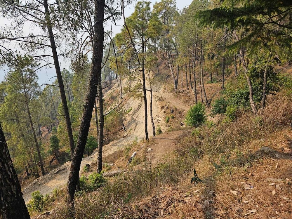 omvilla with mountain view