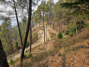 omvilla with mountain view