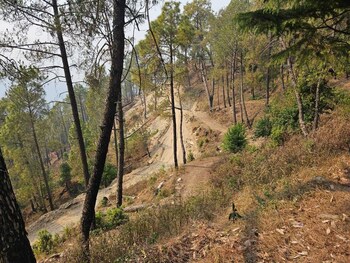 omvilla with mountain view