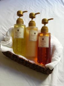 ueno first city hotel