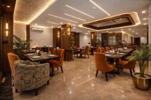 hotel urban lion igi airport delhi