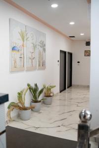 hotel enclave bikaner