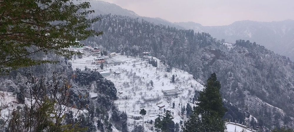 shimla