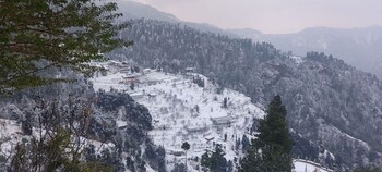 shimla
