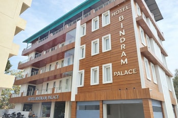 hotel bindram palace