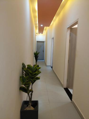 modest rooms by libra