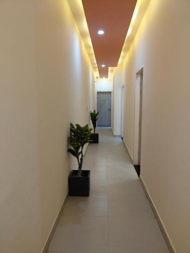 modest rooms by libra