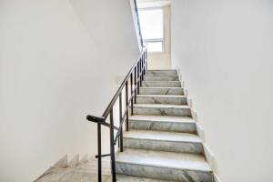 collection o mvp double road