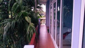 rung phangan guest house
