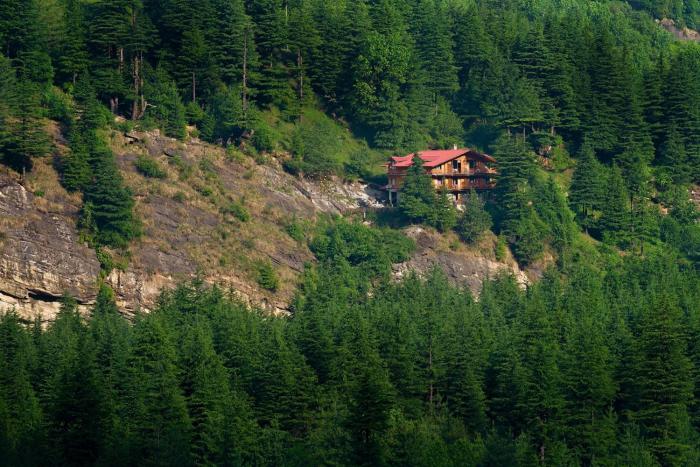 the pine chalet