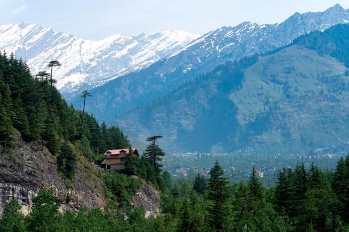 the pine chalet