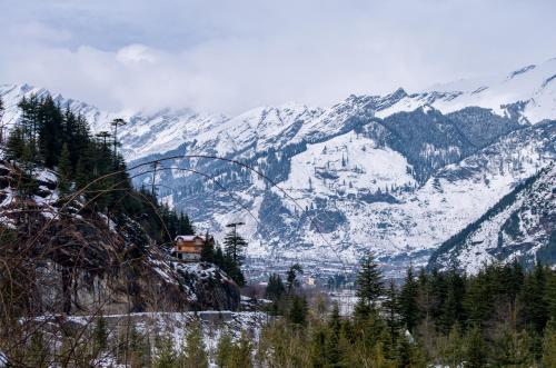 the pine chalet