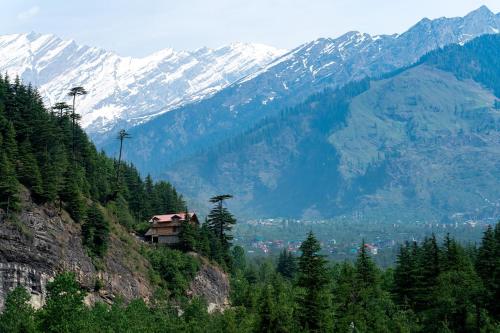 the pine chalet