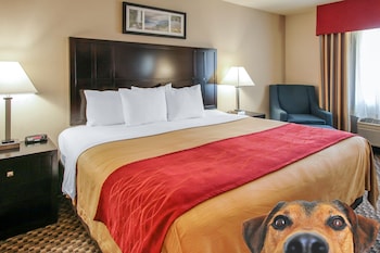 comfort inn troutdale portland east