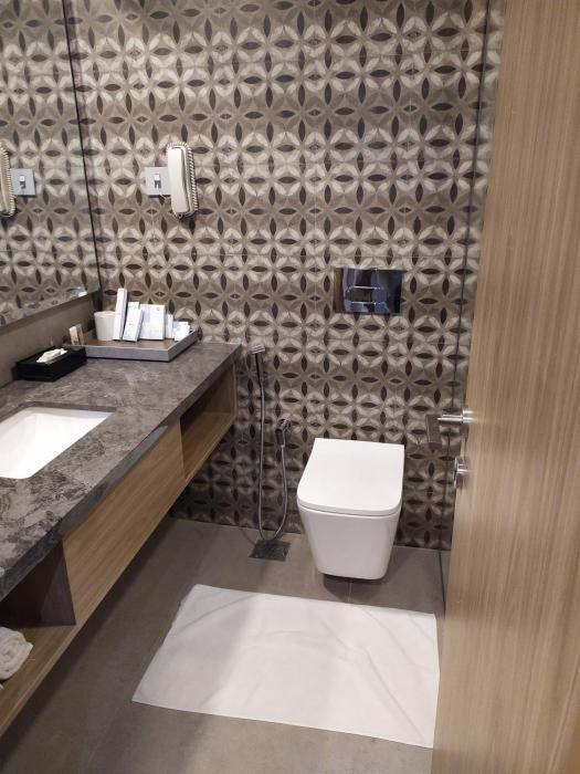 fortune inn valley view manipal