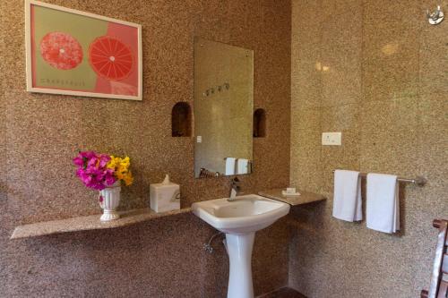 ama stays and trails dulwich terrace panchgani