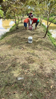 baanmae resort thachana suratthani