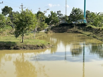 baanmae resort thachana suratthani