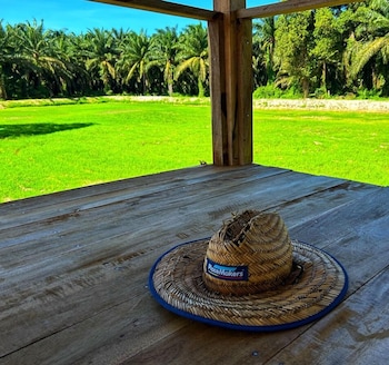 baanmae resort thachana suratthani