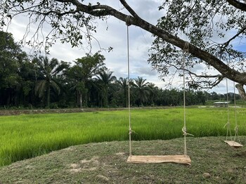 baanmae resort thachana suratthani