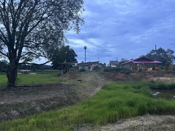 baanmae resort thachana suratthani