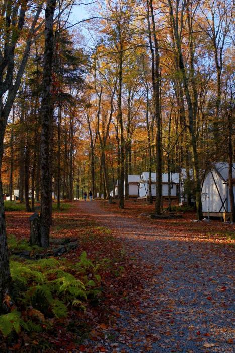 ferncrest campground
